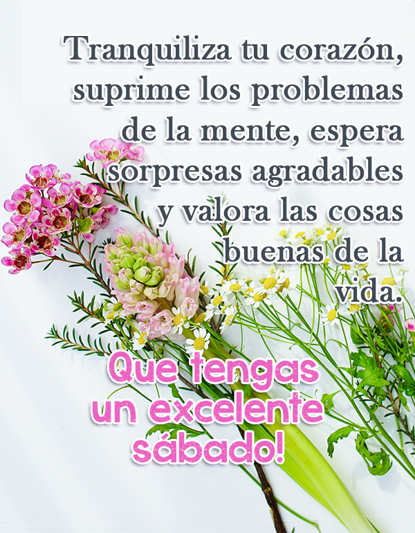 Frase de Sábado: Tranquiliza tu corazón, suprime los problemas de la mente, espera sorpresas agradables y valora las cosas buenas de la vida.