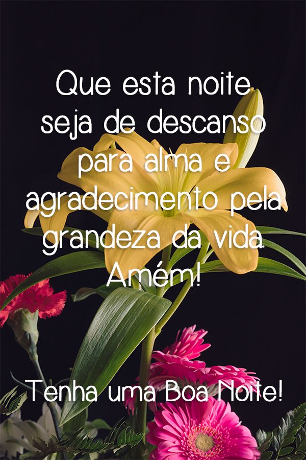 Mensagem de boa noite: Que esta noite seja de descanso para alma e agradecimento pela grandeza da vida. Amém!