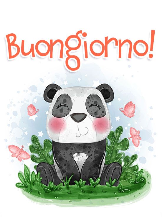 Frase di Buongiorno: Buongiorno!