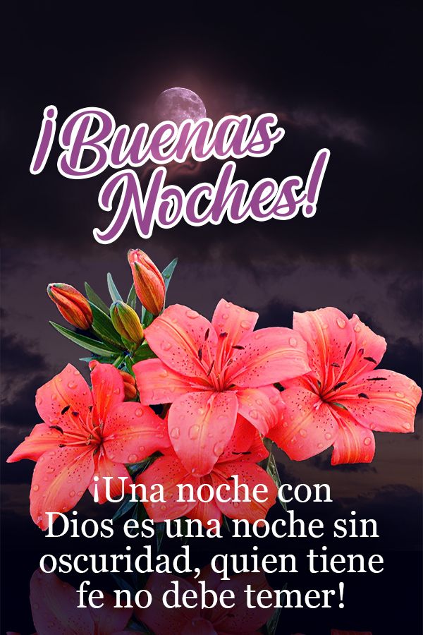 Frase de Buenas noches: ¡Una noche con Dios es una noche sin oscuridad, quien tiene fe no debe temer!