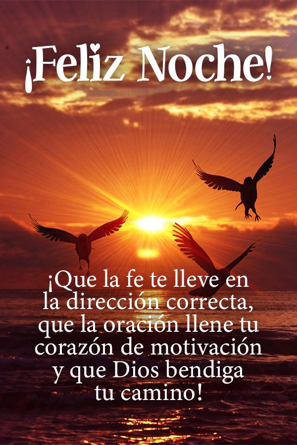 Frase de Buenas noches: ¡Que la fe te lleve en la dirección correcta, que la oración llene tu corazón de motivación y que Dios bendiga tu camino!