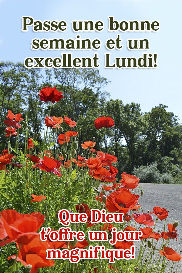 Message Lundi : Passe une bonne semaine et un excellent Lundi! Que Dieu t'offre un jour magnifique!