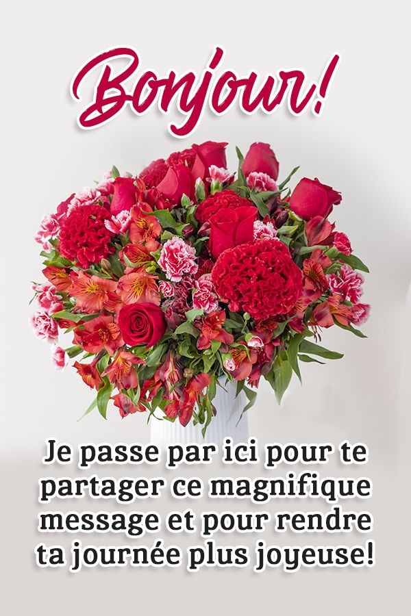 Message Bonjour : Je passe par ici pour te partager ce magnifique message et pour rendre ta journée plus joyeuse!