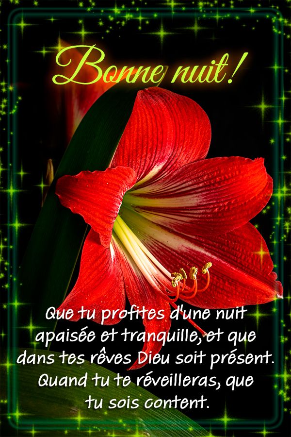 Que tu profites d'une nuit apaisée et tranquille, et que dans tes rêves Dieu soit présent. Quand tu te réveilleras, que tu sois content.