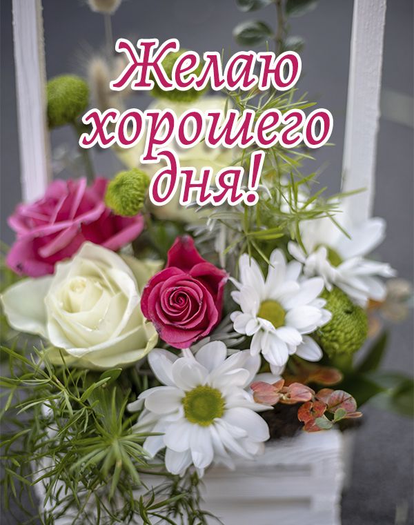 Добрый день: Желаю хорошего дня!