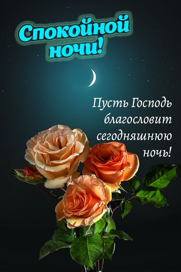 Спокойной ночи: Пусть Господь благословит сегодняшнюю ночь!