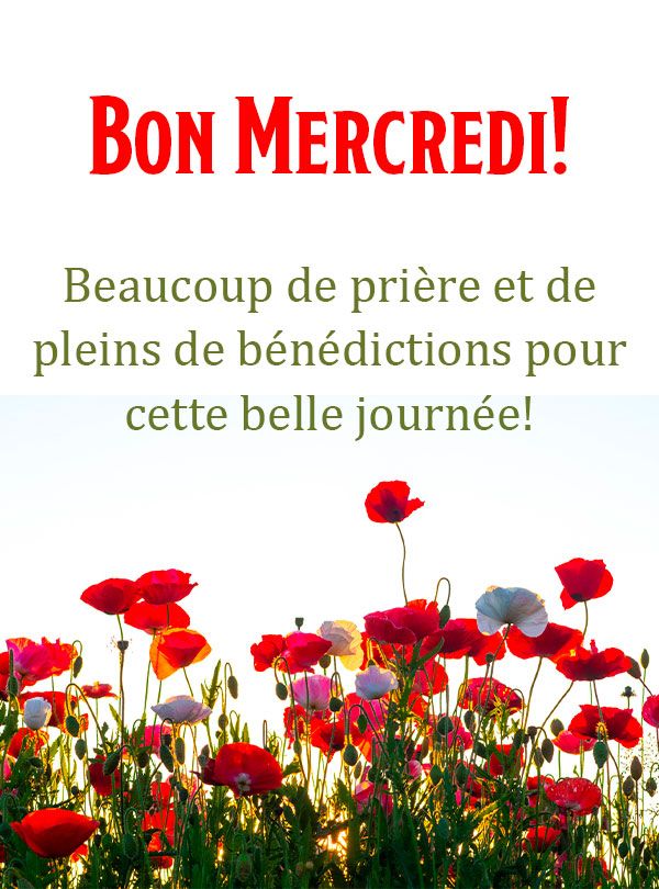 Beaucoup de prière et de pleins de bénédictions pour cette belle journée !