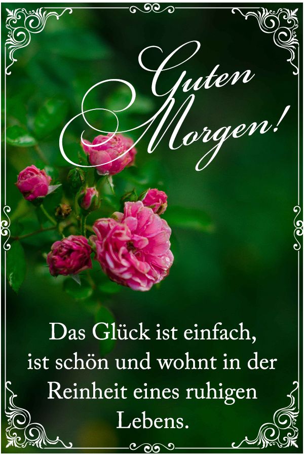Spruch Guten Morgen: Das Glück ist einfach, ist schön und wohnt in der Reinheit eines ruhigen Lebens.