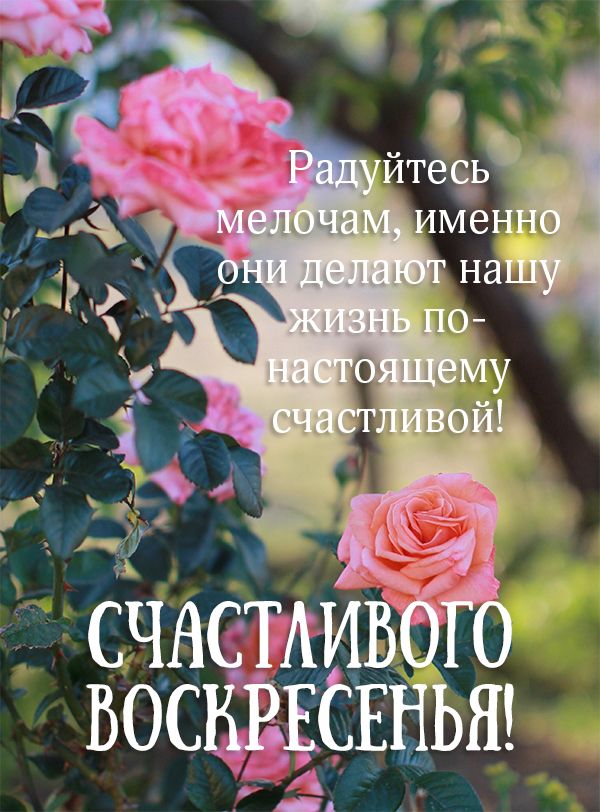 Воскресенье: Радуйтесь мелочам, именно они делают нашу жизнь по-настоящему счастливой!