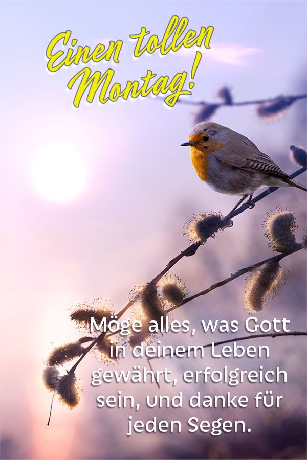 Möge alles, was Gott in deinem Leben gewährt, erfolgreich sein, und danke für jeden Segen.