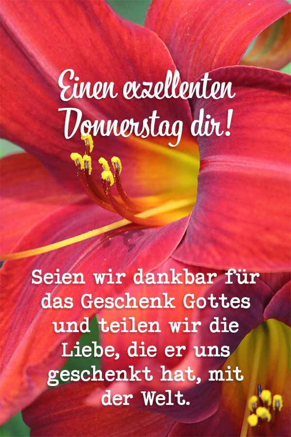 Spruch Donnerstag: Seien wir dankbar für das Geschenk Gottes und teilen wir die Liebe, die er uns geschenkt hat, mit der Welt.