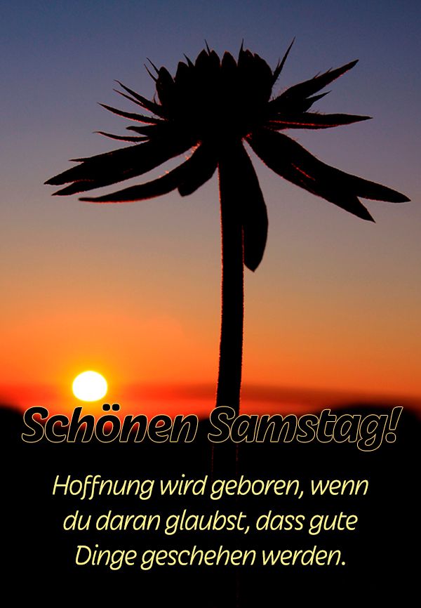 Spruch Samstag: Hoffnung wird geboren, wenn du daran glaubst, dass gute Dinge geschehen werden.