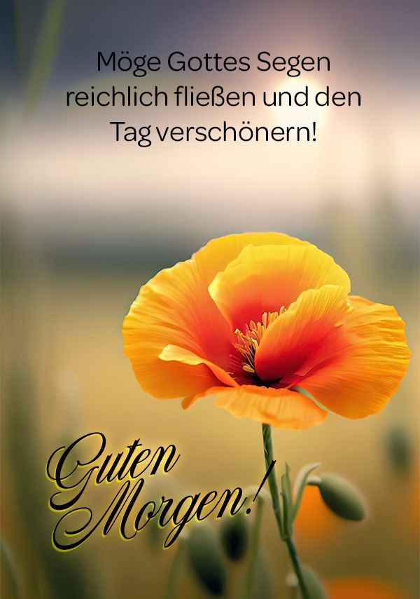 Spruch Guten Morgen: Möge Gottes Segen reichlich fließen und den Tag verschönern!