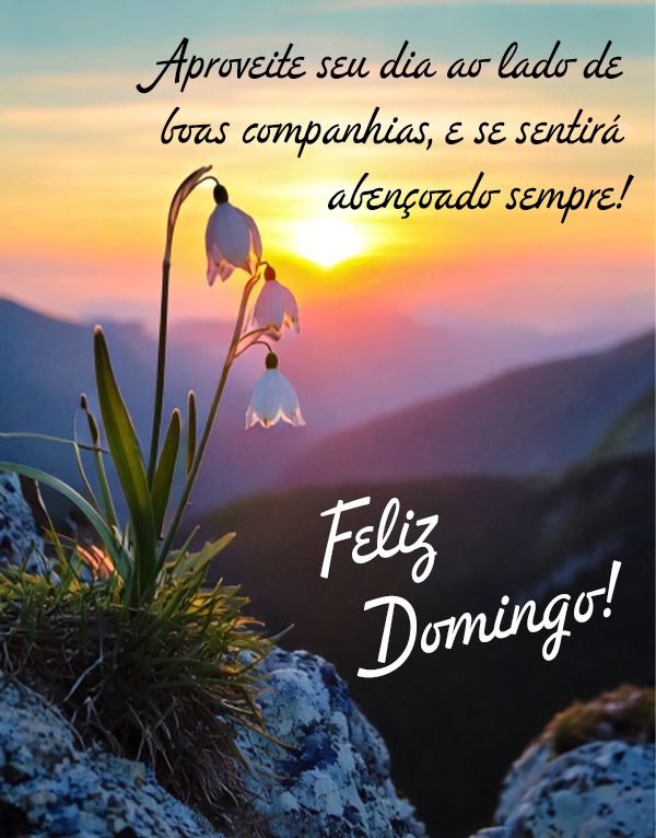 Mensagem de domingo: Aproveite seu dia ao lado de boas companhias, e se sentirá abençoado sempre!