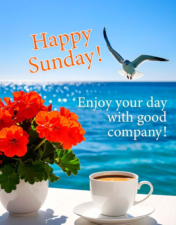 Sunday quote: Enjoy your day with good company!