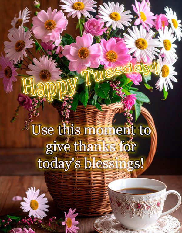 Tuesday quote: Use this moment to give thanks for today's blessings!